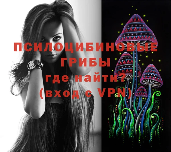 спиды Гусиноозёрск