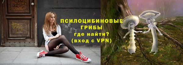 спиды Гусиноозёрск