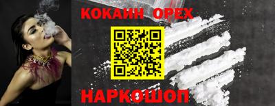 стафф Гудермес