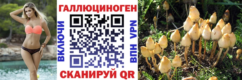 Галлюциногенные грибы Psilocybine cubensis  Дюртюли 
