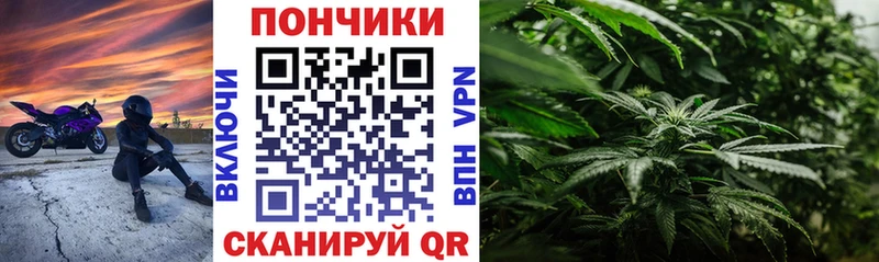 Марихуана Bruce Banner Дюртюли